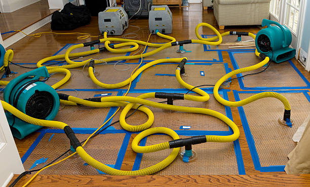 Professional Sewage Cleanup technician working in Wakeman, OH